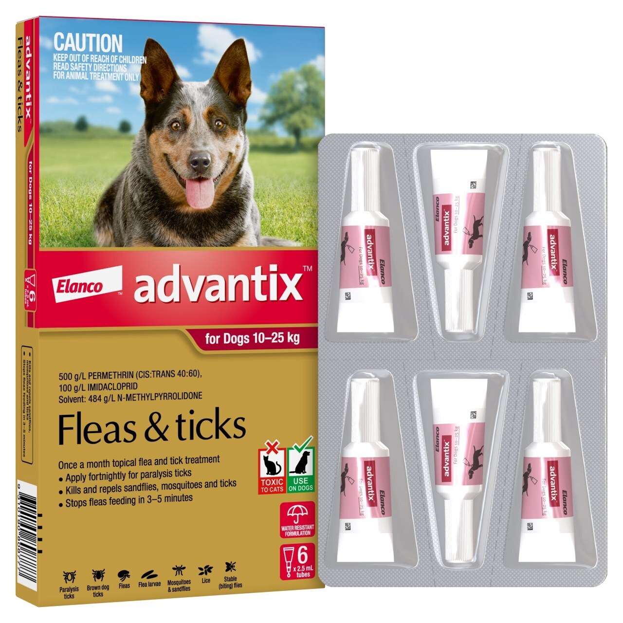 Advantix Dog 10-25kg 6's