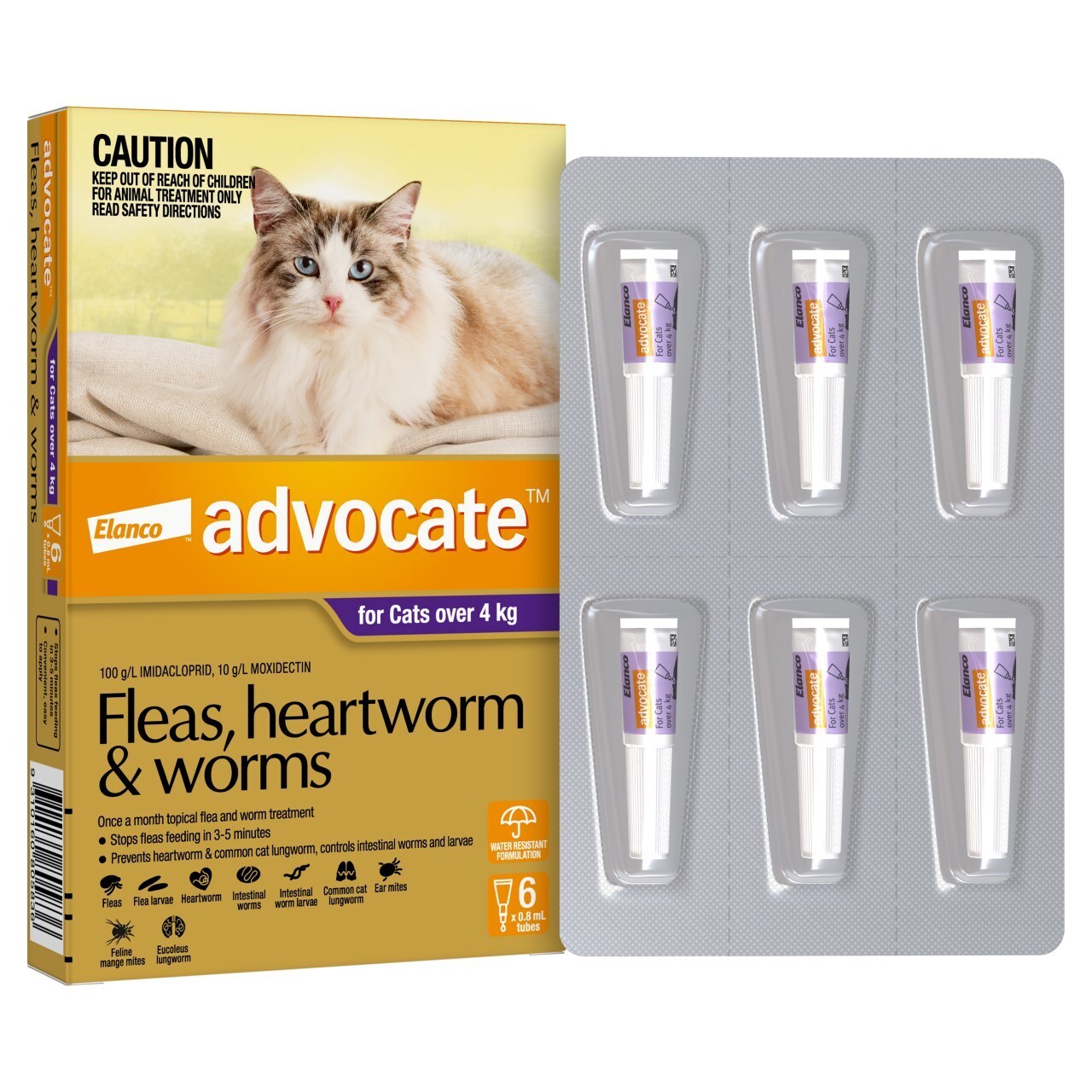 Advocate Cat over to 4kg 6's