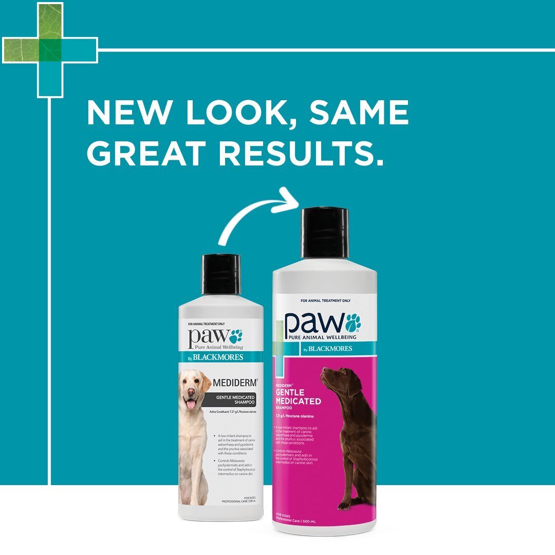 PAW by Blackmores MediDerm Gentle Medicated Shampoo for Dogs 500 mL