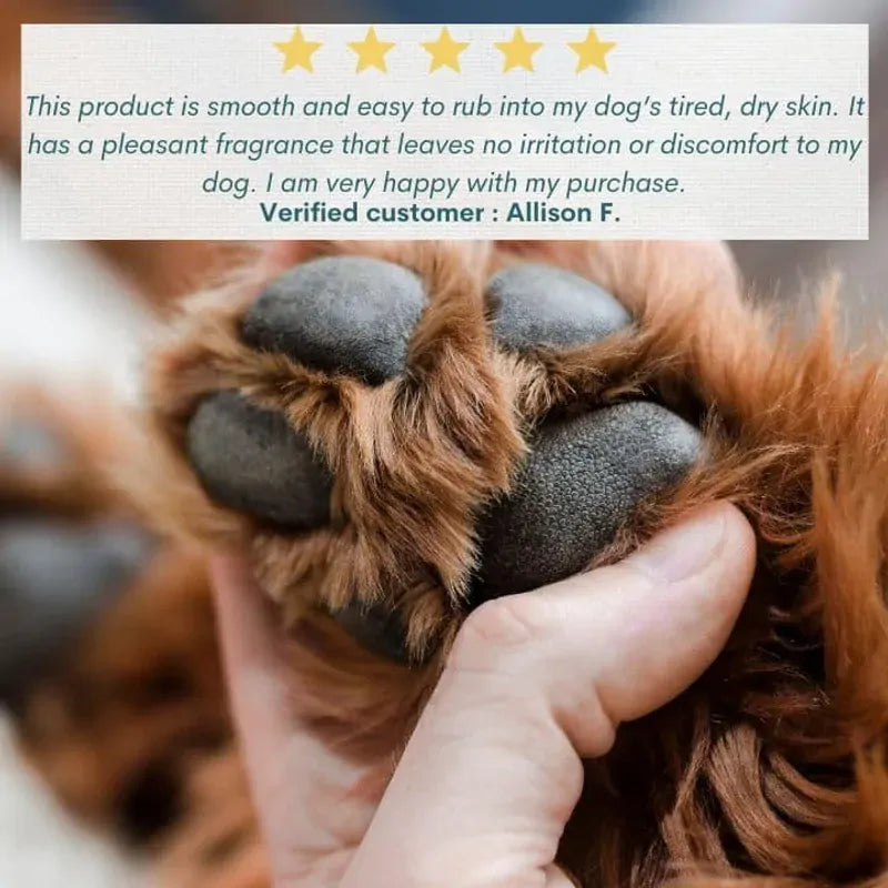 Hemp Collective Hemp Pet Balm 30G