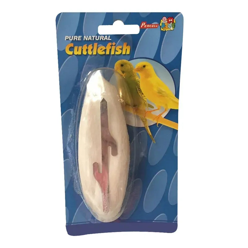Percell Cuttle Fish Carded 20Cm Single