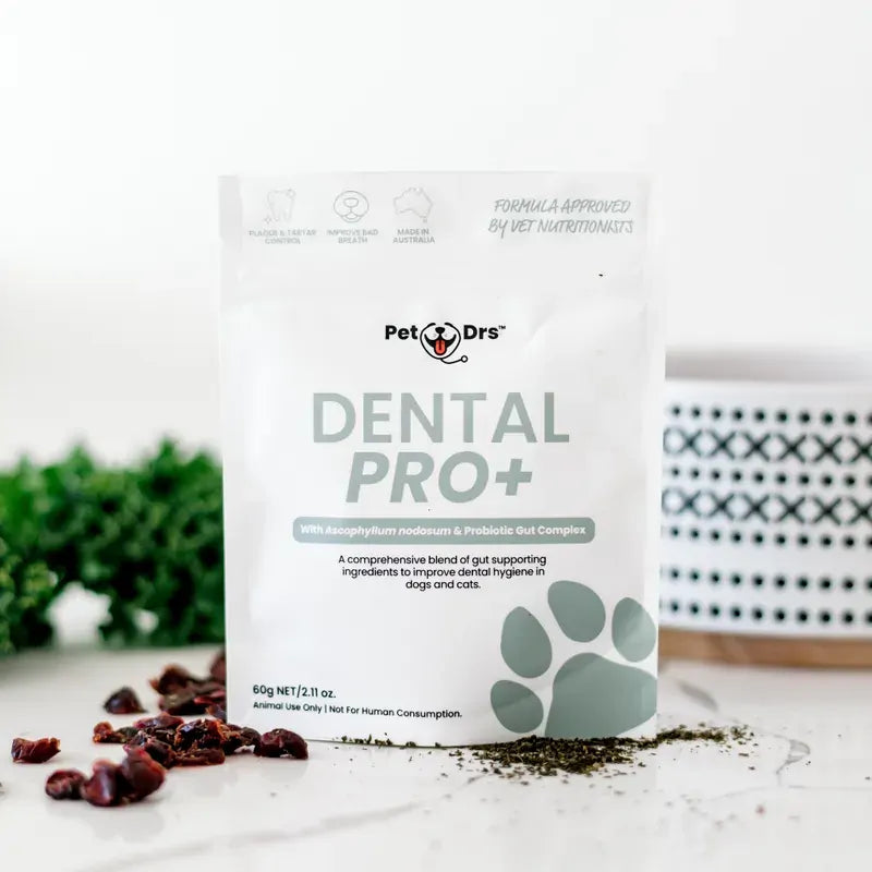 Nourish Pet Co Dental Pro+ 60G
