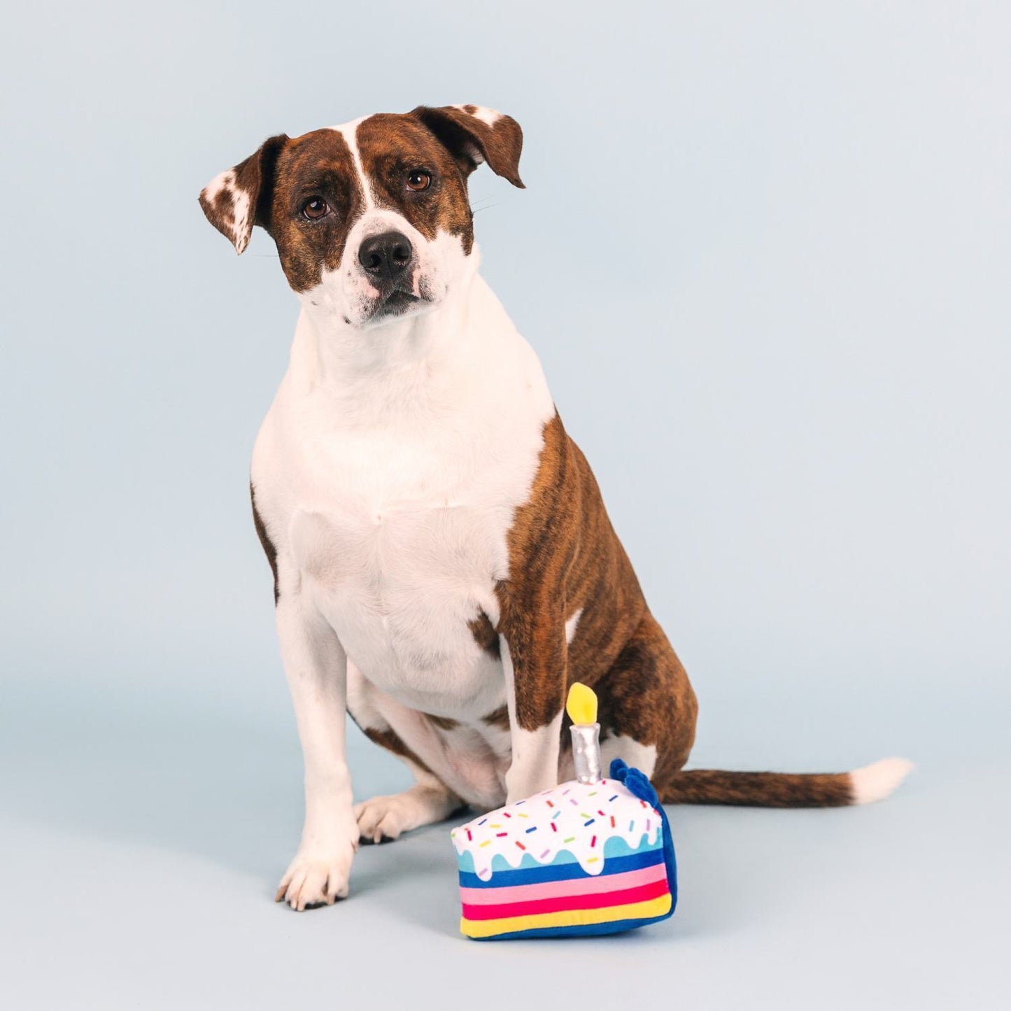 Fringe Studio Cake It Easy Plush Dog Toy