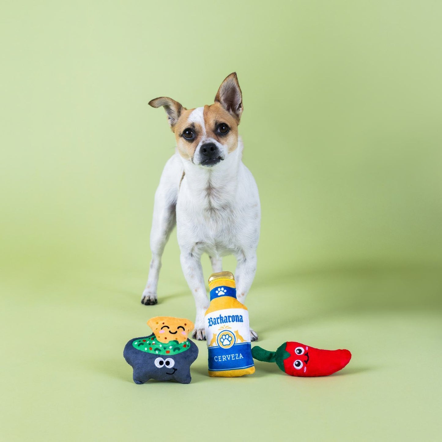 Fringe Studio Happy Hour Beer & Dip 3-piece Small Dog Toys