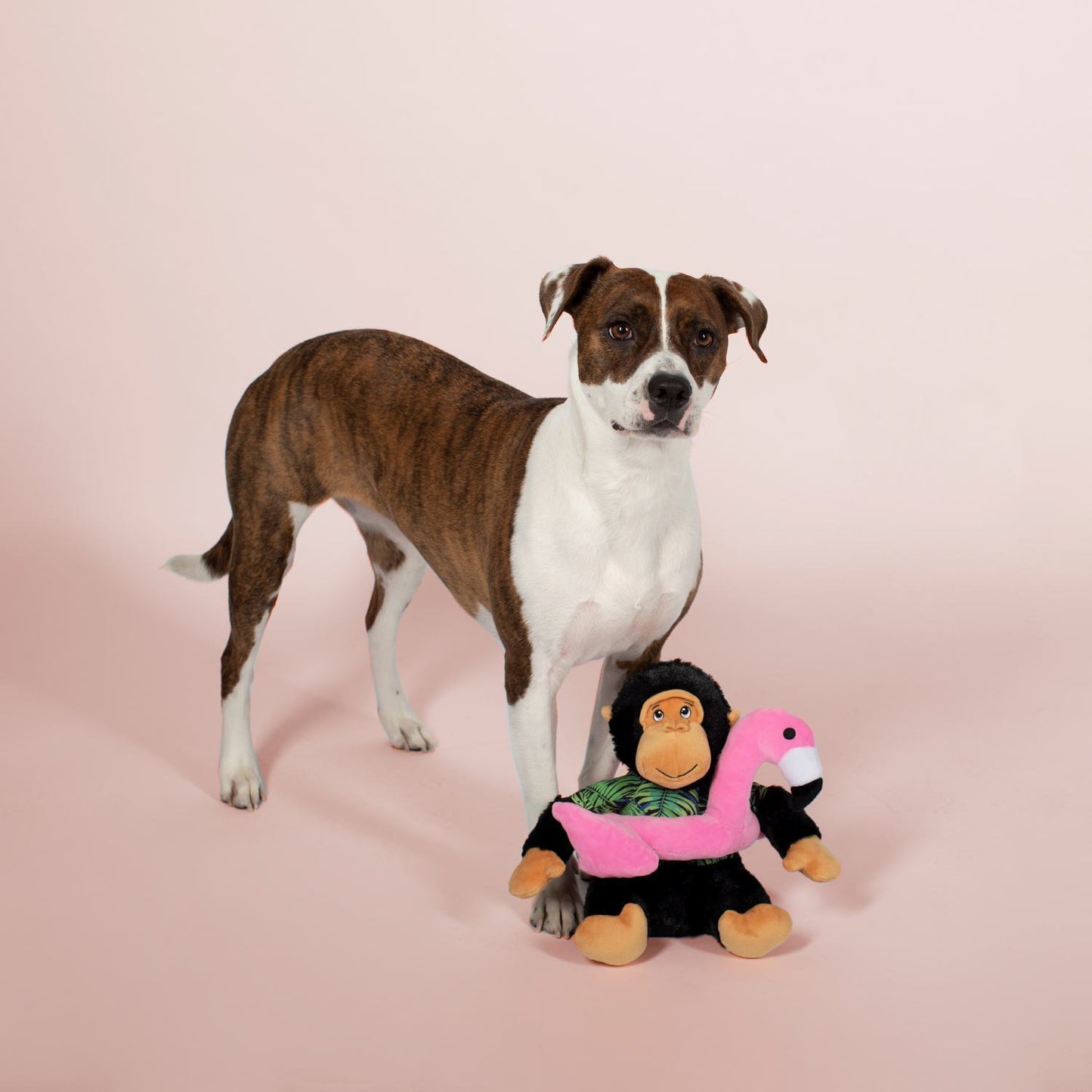 Fringe Studio Gregory The Gorilla with Floatie Plush Squeaker Dog Toy - Extra Large