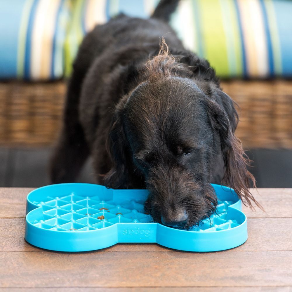 Lickimat SloDog No Gulp Bone-Shaped Slow Food Bowl for Dogs