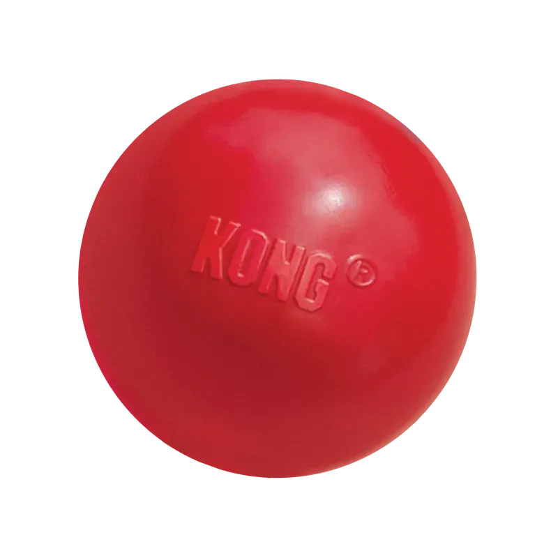 Kong Ball With Hole Lg
