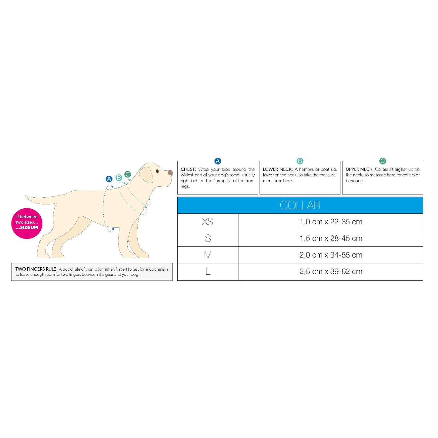 Max & Molly Smart ID Dog Collar - Ruler - Medium