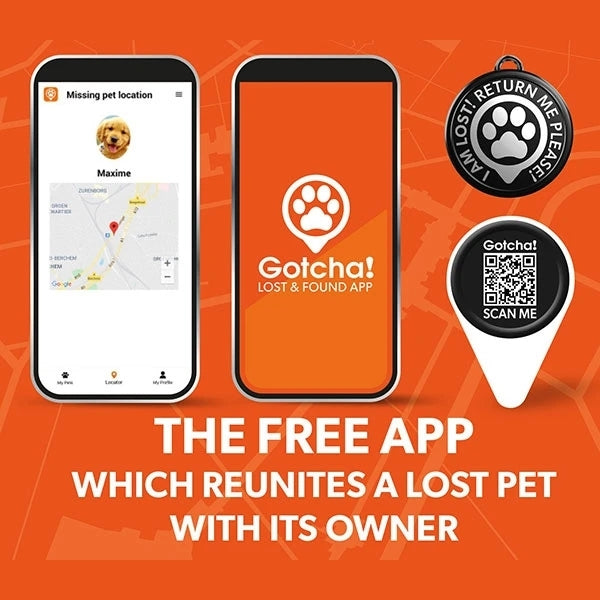 Max & Molly Smart ID Dog Collar - Cherry Bloom - X-Small