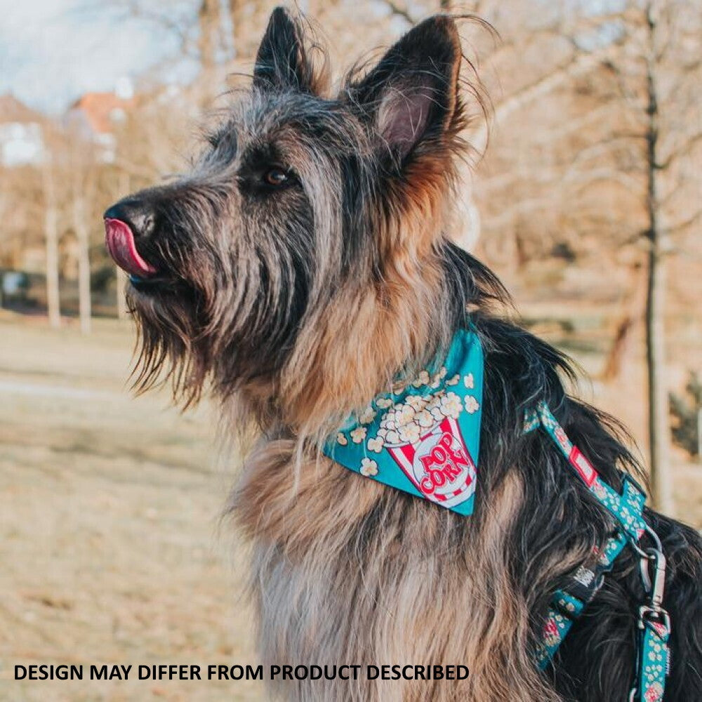 Max & Molly Bandana for Cats & Dogs - Cherry Bloom - Small