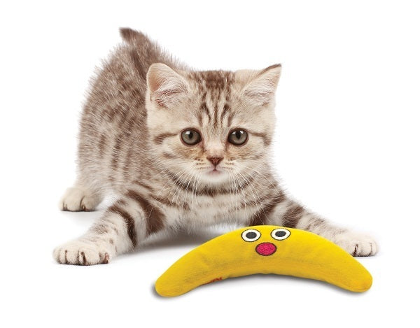 Petstages Green Magic Boomerang