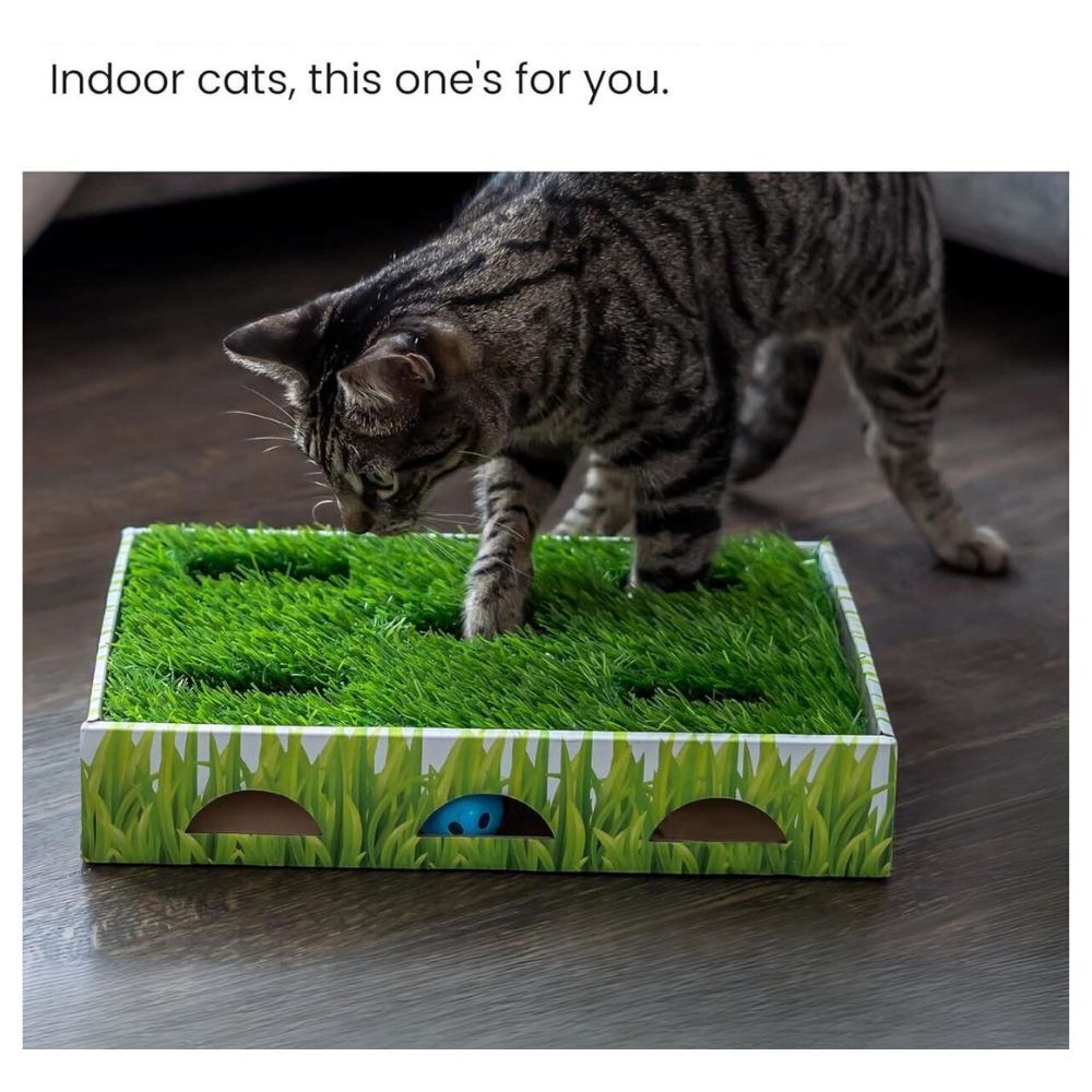 Petstages Grass Patch Hunting Box Interactive Cat Toy