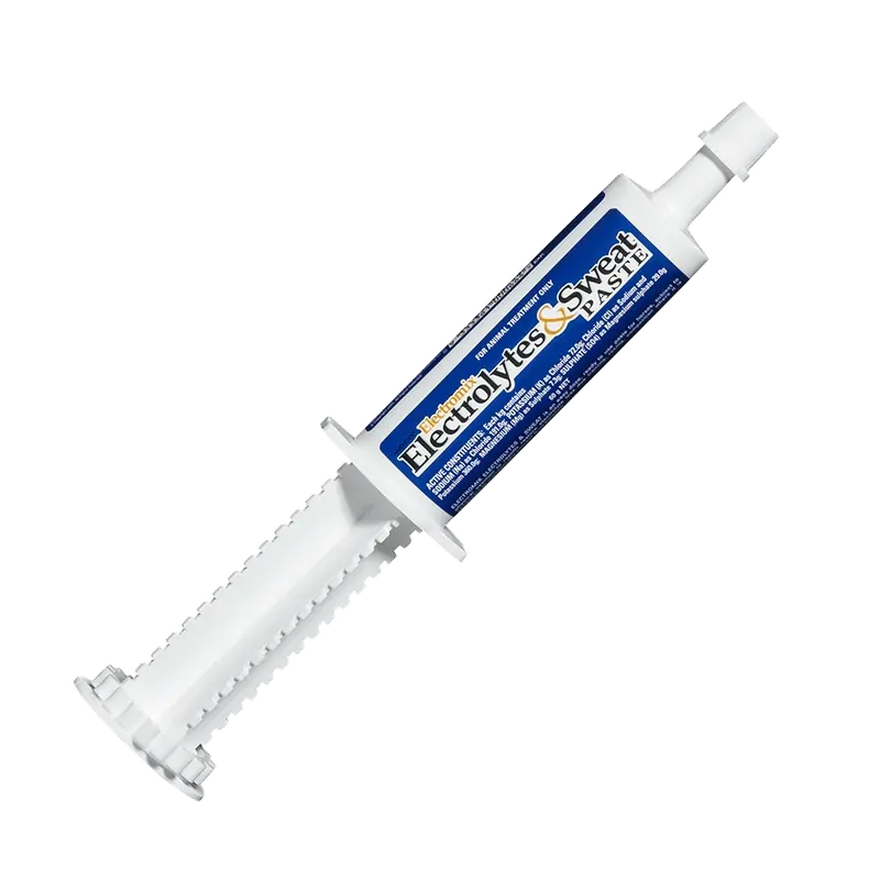 IAH Electromix Electrolytes Paste 60g