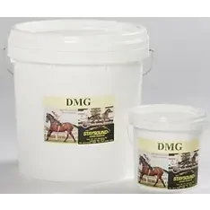 Stay Sound DMG 3kg