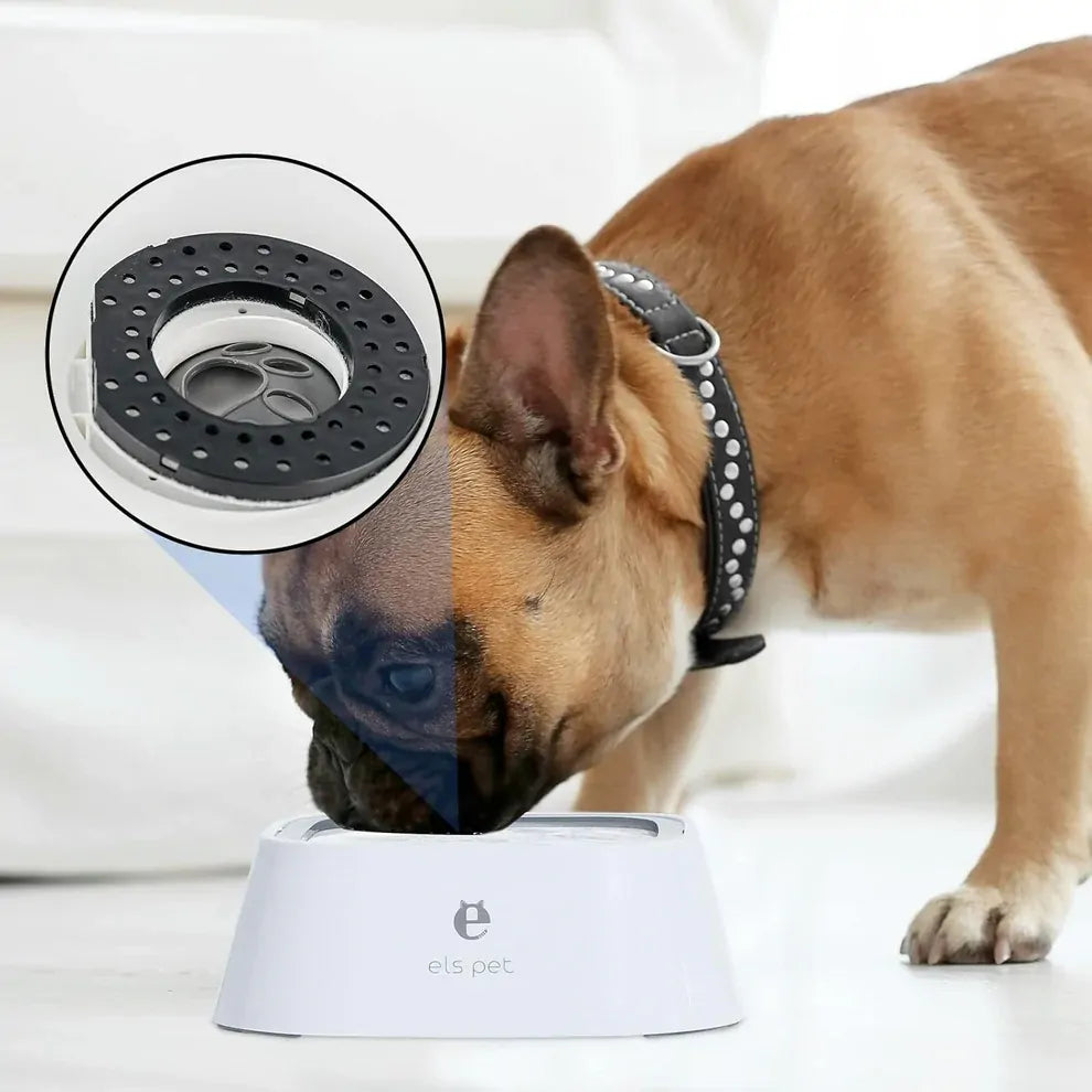 All Fur You Filters For 2L & Diamond Spill Proof Bowl