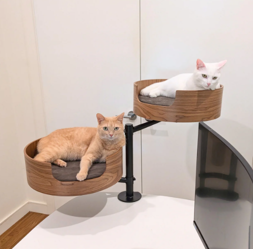 Desk Nest Duo Walnut