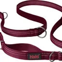 Halti Anatomy Multi Lead Magenta Small