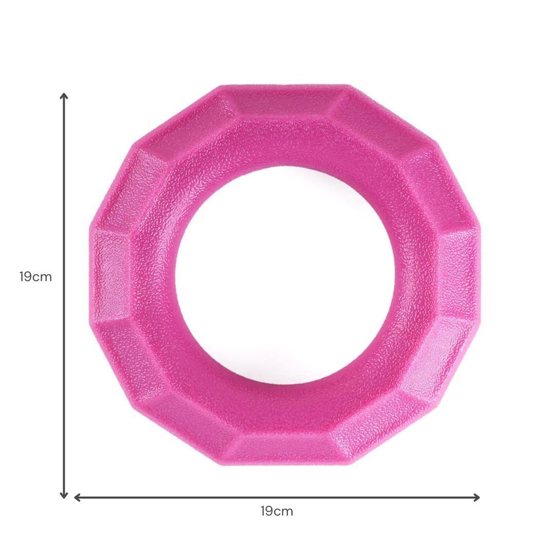 Zippy Paws ZippyTuff+ Fetch & Tug Dog Toy - Magenta Ring