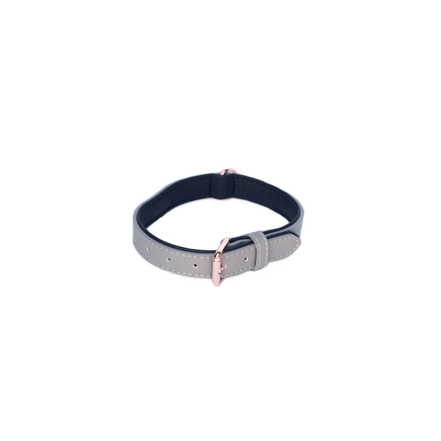 Vivid Collection Collar - Slate Medium by Zippy Paws