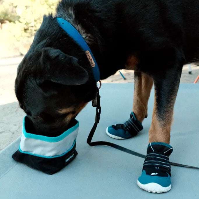 Zippy Paws Adventure Bowl On-the-Go Food & Water Bowl - Pink