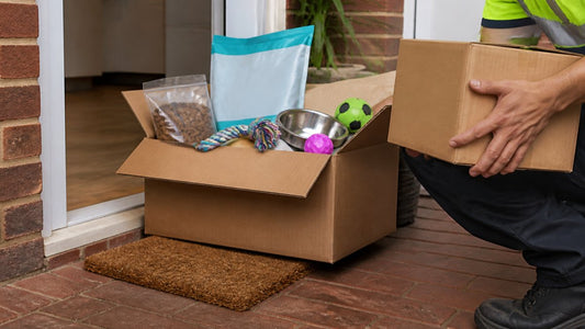 7 Fast Pet Supply Delivery Regional Traps to Avoid