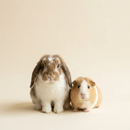 Small pets shop-by-pet category tile