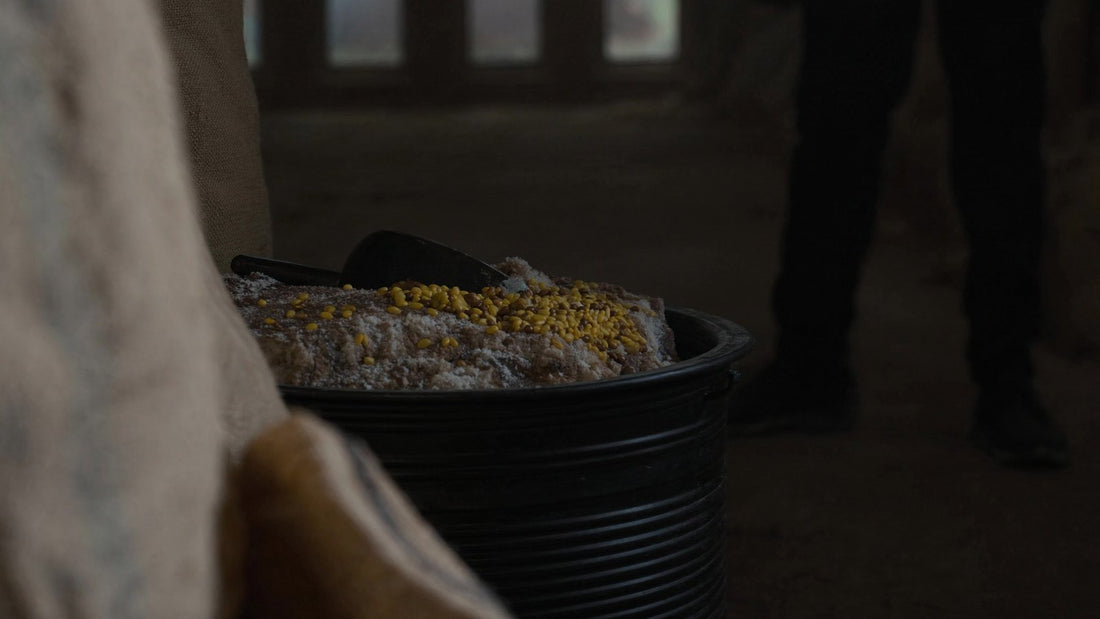 Feed tub of soaked copra mash and lupins in a stable feed room