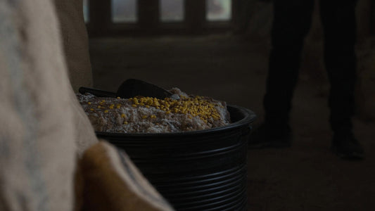 Feed tub of soaked copra mash and lupins in a stable feed room