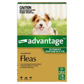 Advantage Dogs under 4kg - 6's