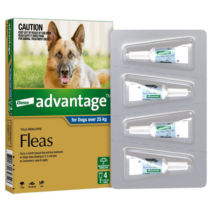 Advantage Dog over 25Kg 4's