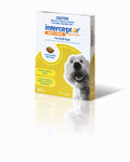 Interceptor Chew Green Sml 3S