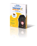 Interceptor Chew Yellow Med 3S