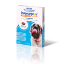 Interceptor Spectrum Tasty Chews for Large Dogs 22 to 45 kg Blue 3 Pack