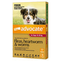 Advocate Dog 10-25kg 6's