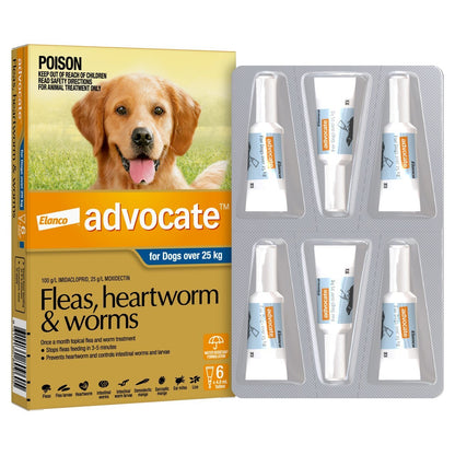 Advocate Dog over  25Kg 6's