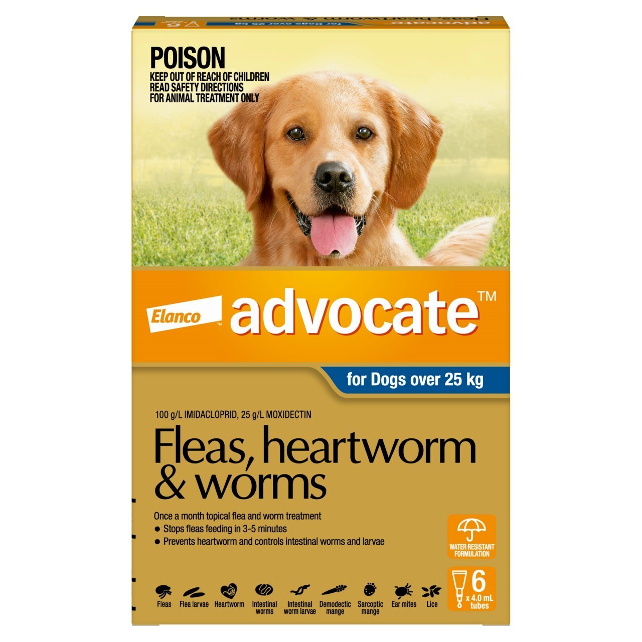 Advocate Dog over  25Kg 6's