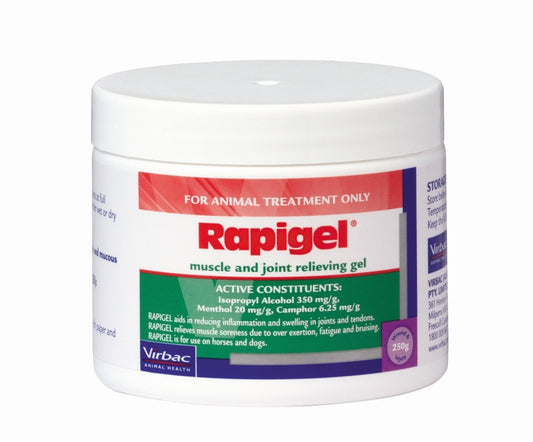 Rapigel 250Gm