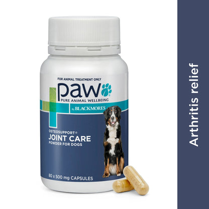 PAW Osteosupport Joint Support Powder for Dogs - 80 Capsules