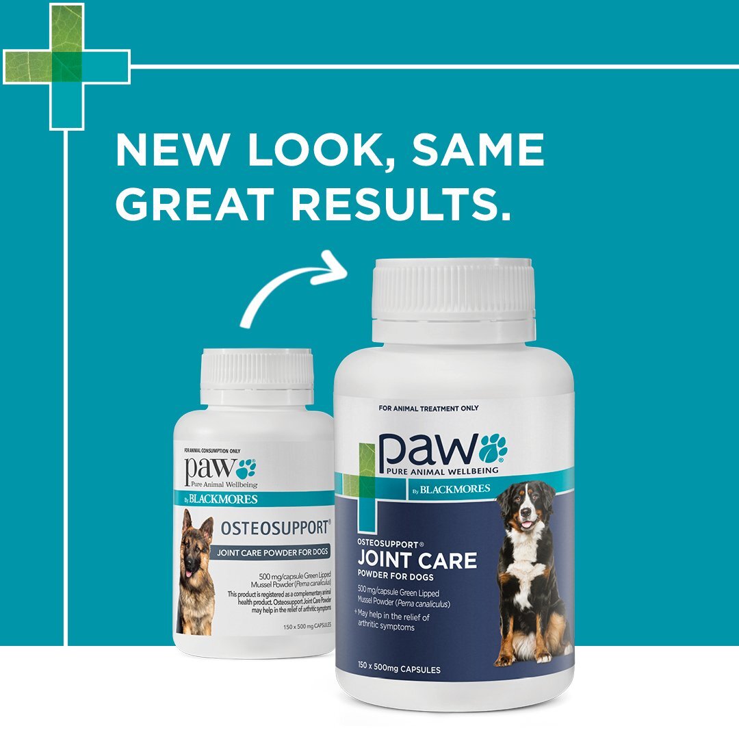 PAW Osteosupport Joint Support Powder for Dogs - 80 Capsules
