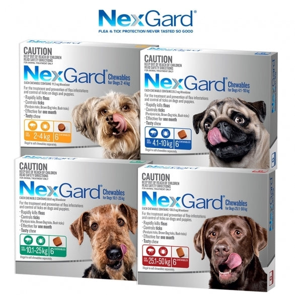 NEXGARD FOR DOGS 4.1-10KG - Blue 6 Pack