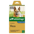 Advantage Dog over 25Kg Single
