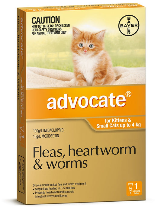 Advocate Cat under 4kg Single