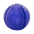Guru Orbee Tuff Purple by Planet Dog Treat Dispenser