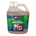 Dr Show Conditioning Shampoo All In One 4 Litre