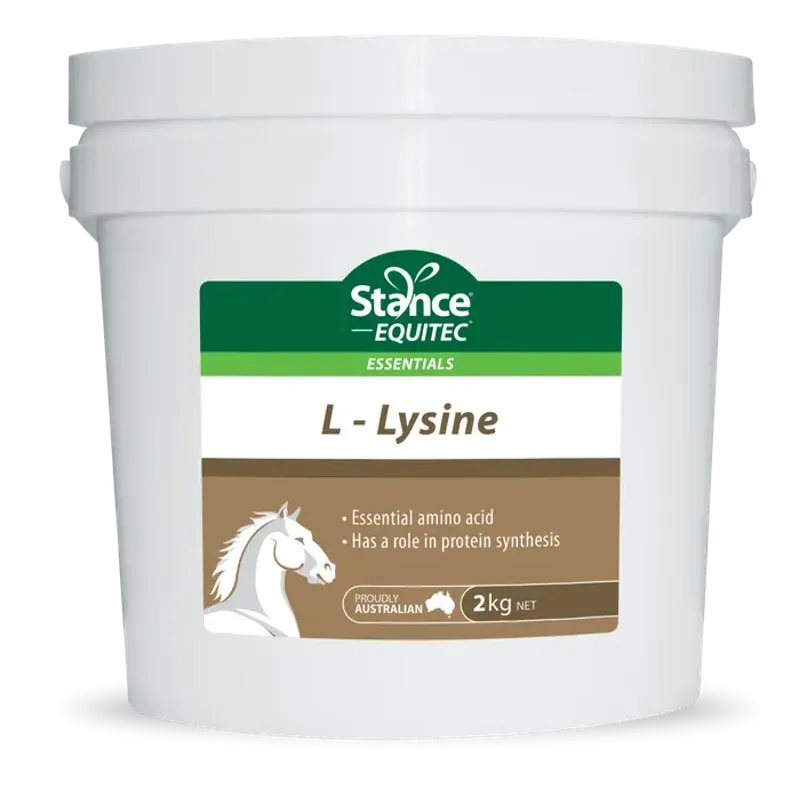 Equitec Essentials L-Lysine 2kg