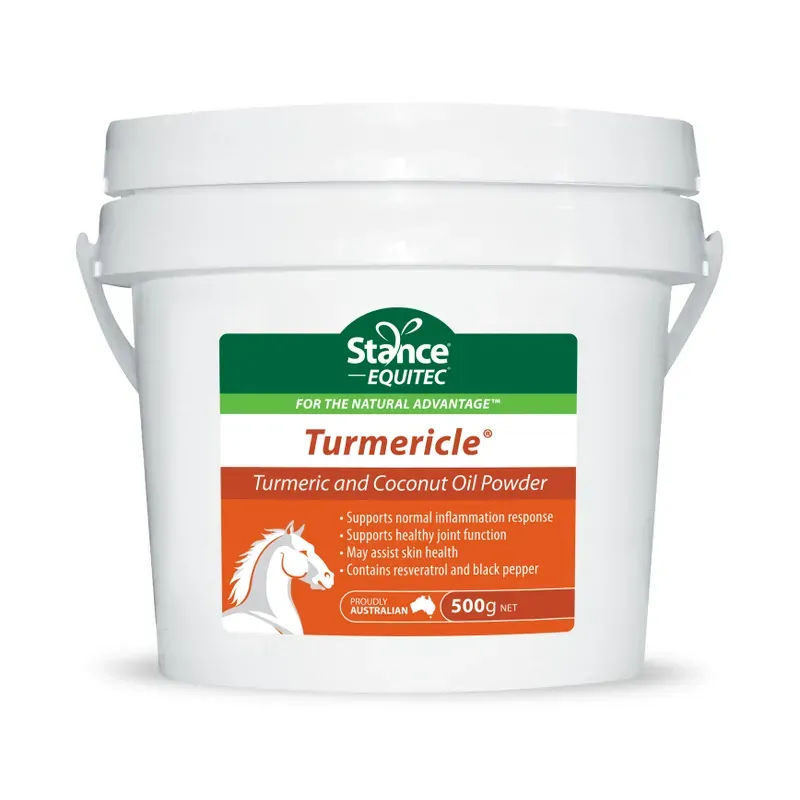 Equitec Turmericle 500g