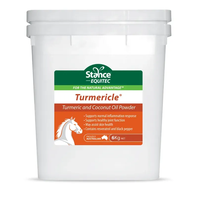 Equitec Turmericle 6kg