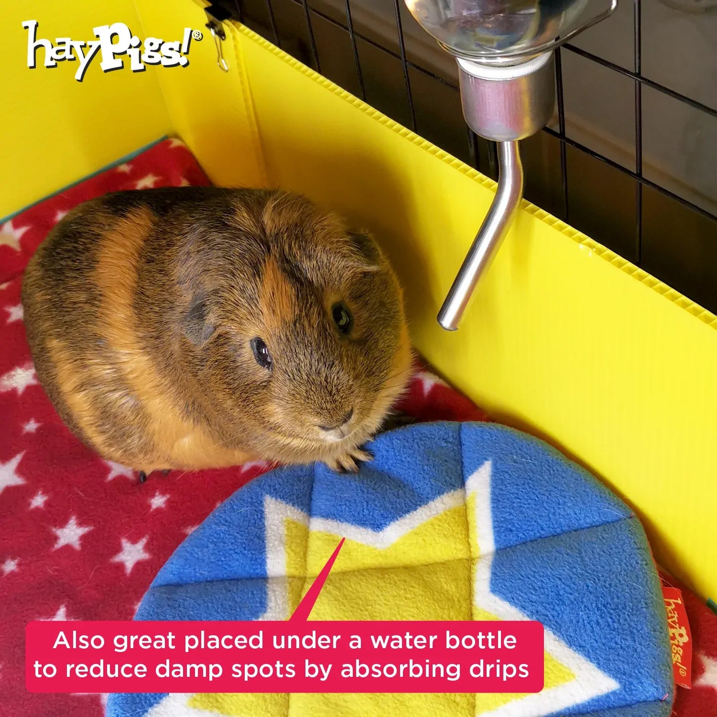 Haypigs Circus Pee Pads 2 Pack