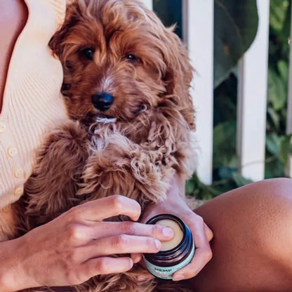 Hemp Collective Hemp Pet Balm 60G