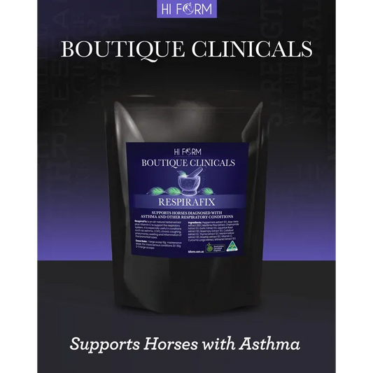 Hi Form RespiraFix Herbal Powder for Horses 500g